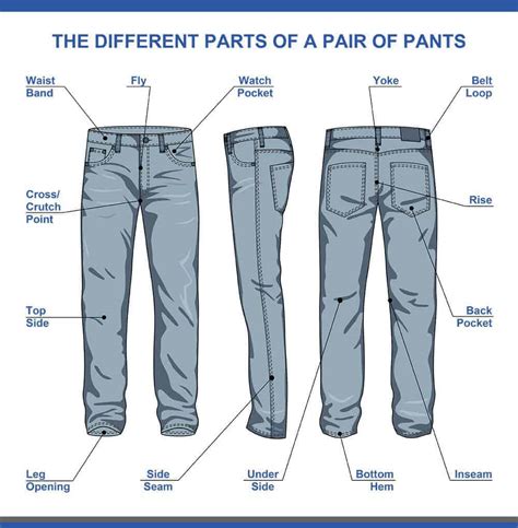 The pants - In the clothing sense, "pants" is almost always plural in English; it may be used in the singular in the fashion world to refer to a pair of trousers. In Spanish it can be either singular, "pantalón", or plural, "pantalones." Brown corduroy pants have been out of fashion for years now.Los pantalones marrones de pana no se llevan desde hace …